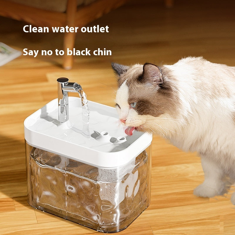 Cat Water Fountain