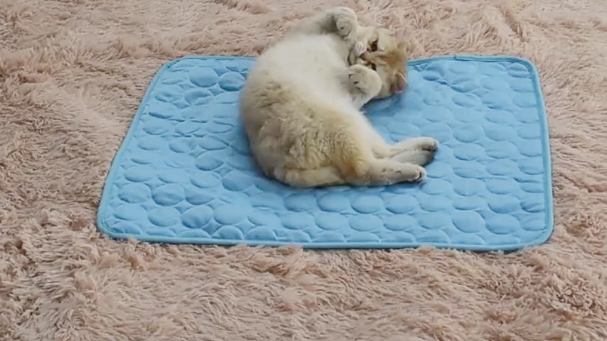 Cooling Pet Mat | Ice Silk Nest Pad for Dogs & Cats, Summer Heat Relief
